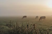 Ochtendnevel-Groenlo-Slinge